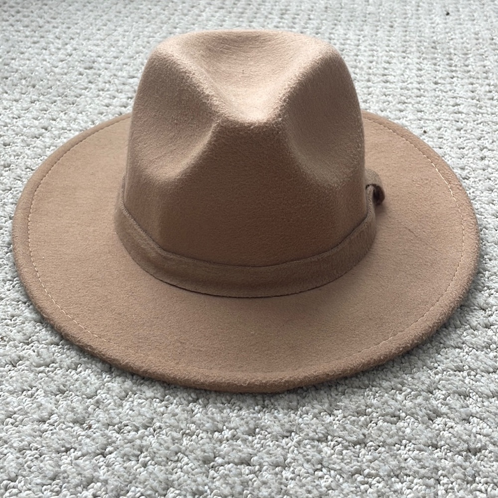 Wide brim tan felt hat